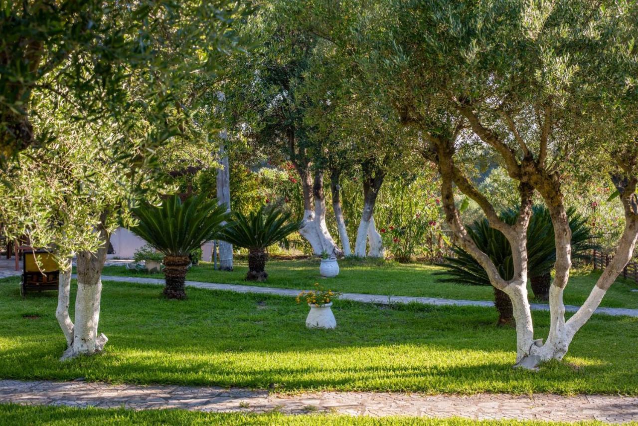 Zoumpouli Village سبارتيا المظهر الخارجي الصورة